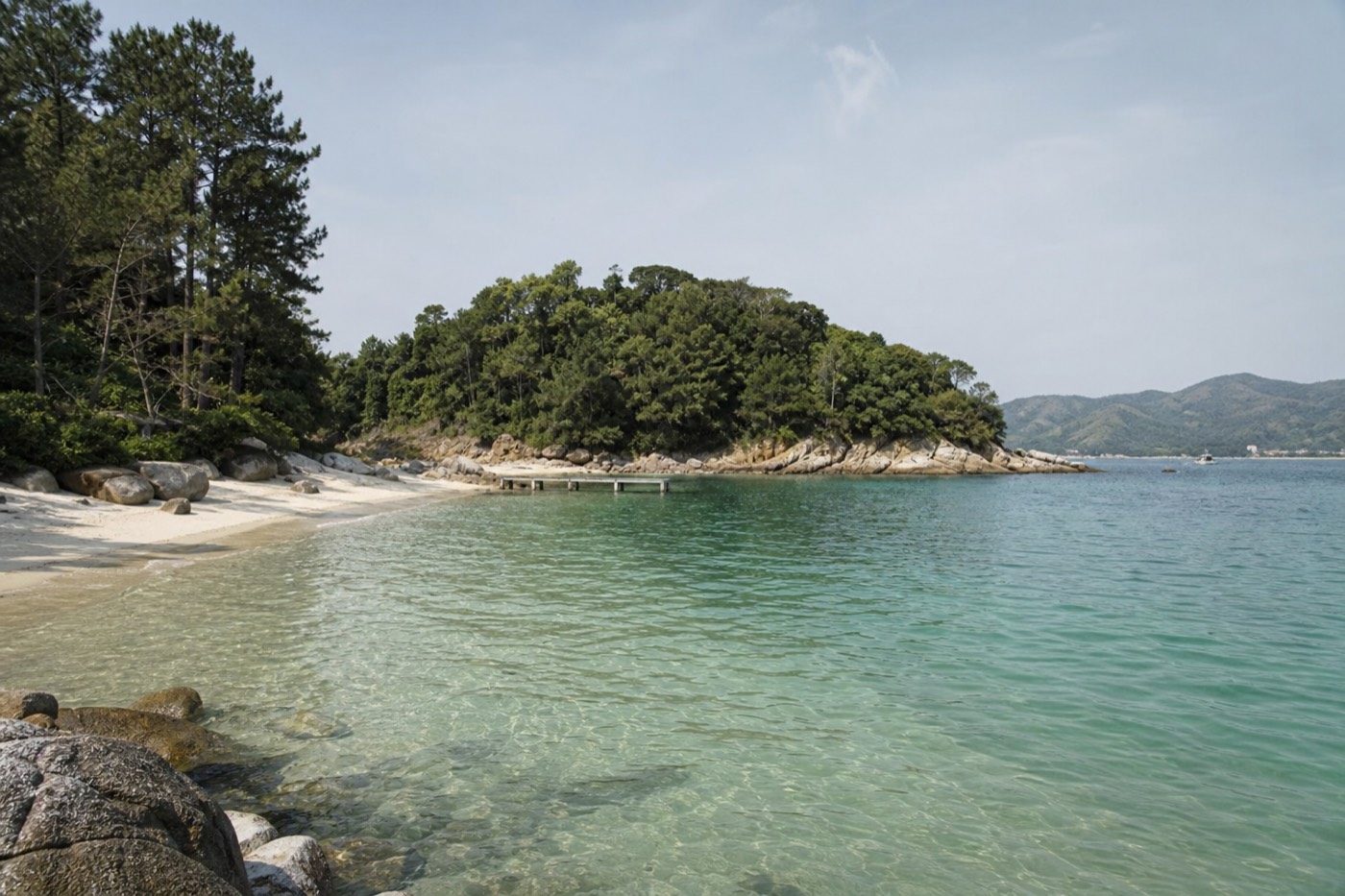 Sheltered sandy beach backed by pine woodland on Isla Gorriti, with flat clear water and the Punta del Este skyline across the bay