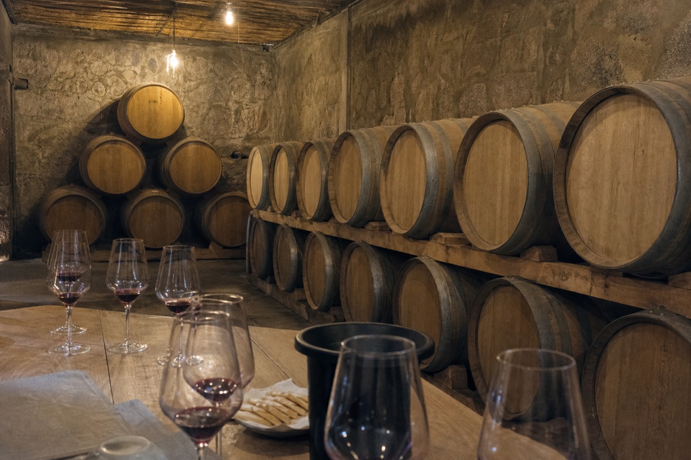 A Tannat tasting laid out with local cheese