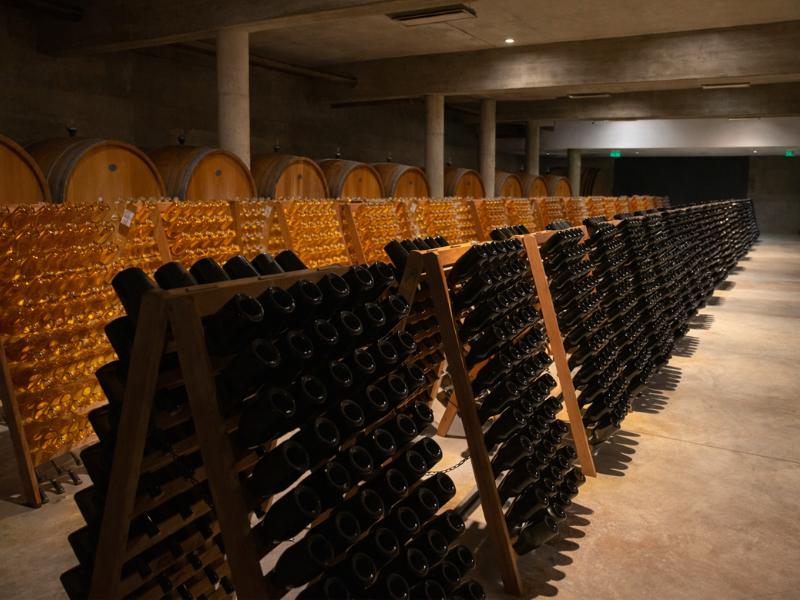 Bodega Garzón Wine Lovers Tour – Exclusive Tastings & Pairings